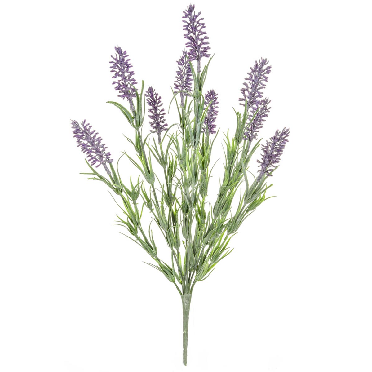 42cm Plants Flowering Lavender Bush
