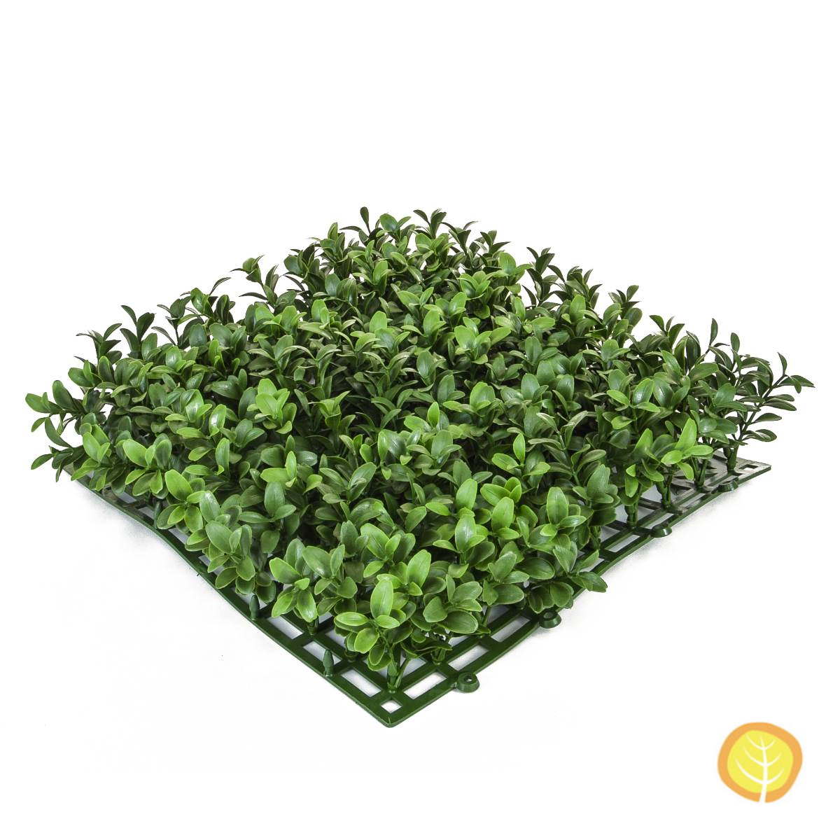 25cm x 25cm Topiary Mat Boxwood / Buxus (UV Resistant) - Outdoor