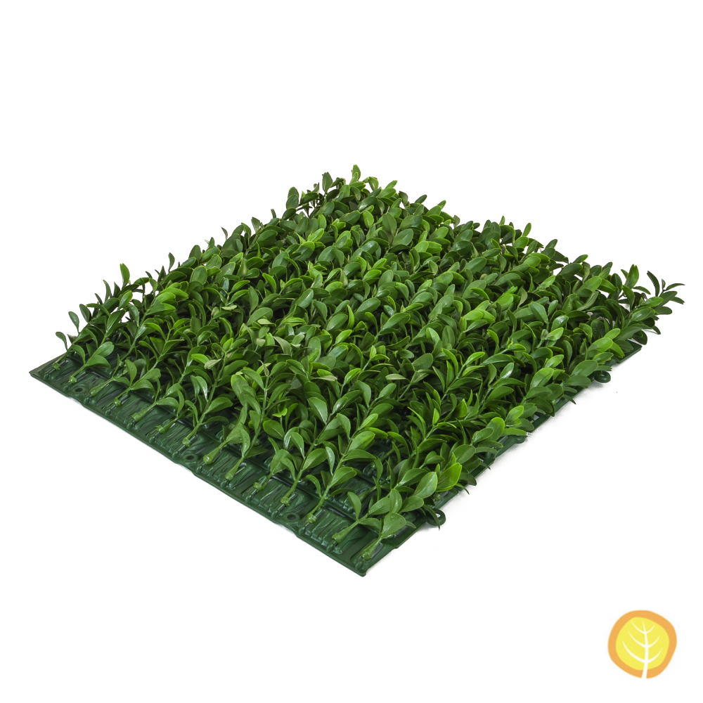 25cm Square Buxus Topiary Wall Mat (Fire and UV Resistant)