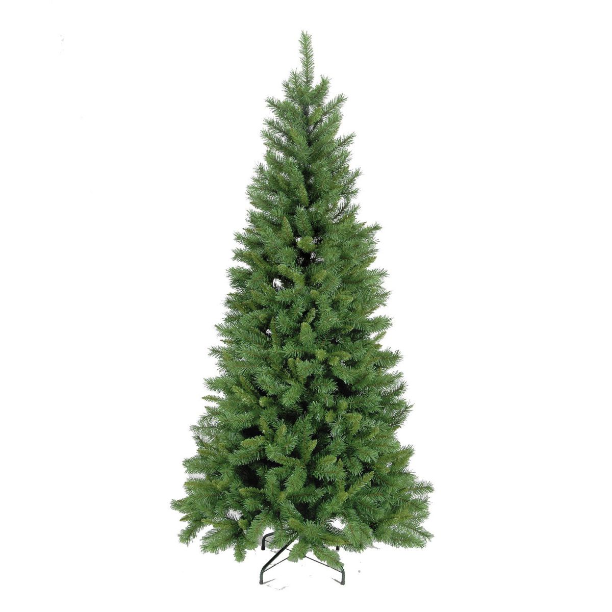 6ft (180cm) Green New Duchess Spruce