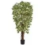 120cm (4ft) Natural Tree Trunk Ficus Liana - Variegated (Fire Resistant)