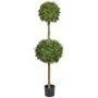 Topiary Buxus Double Ball Tree - Commercial Version (150cm)