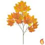 Foliage Maple North American Red (80cm)