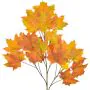 Foliage Maple North American Red (80cm)