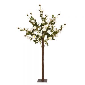 5ft (140cm) Rose Tree – Cream