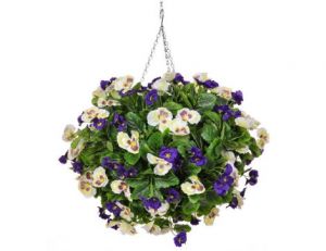 30cm Hanging Basket Pansy Ball – Purple & White