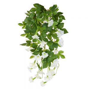 55cm Flowering White Petunia Bush