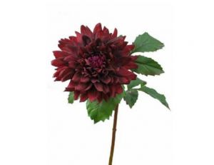 Dahlia Large Burgundy (70cm)