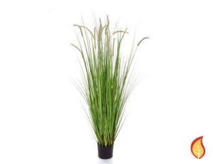 180cm Dogtail Grass E with pot (Fire Resistant) 