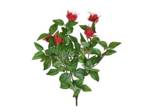 Plants Flowering Small Red Fuchsia