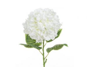 Hydrangea Large White 101cm