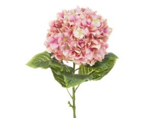 Hydrangea Large Pink 101cm