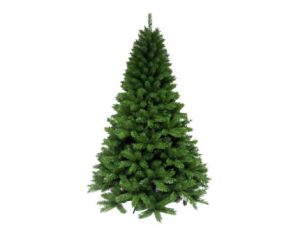 7Ft (210cm) Robson Pine
