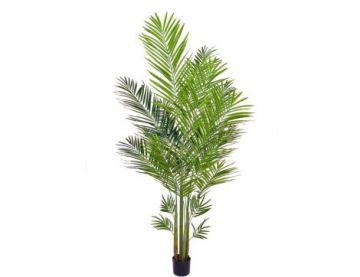 180cm Palm Areca