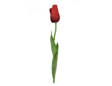 68cm Single Stem Tulip – Elisa Red