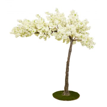 11ft (320cm) MultiBranch Canopy Tree Cherry Blossom – Cream