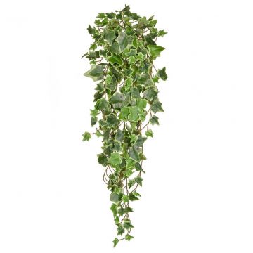 86cm Trailing Ivy - Variegated (Fire Resistant)