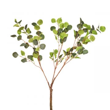 Multibranch 70cm Eucalyptus Branch