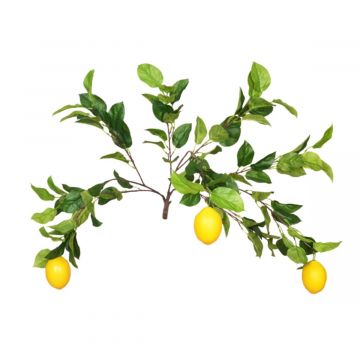 MultiBranch Lemon Branch 85cm