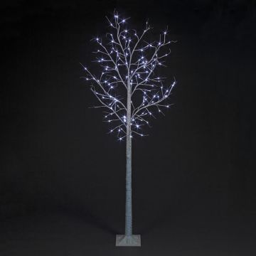 8ft (240cm) Birch Tree with 136 Ice White LEDs