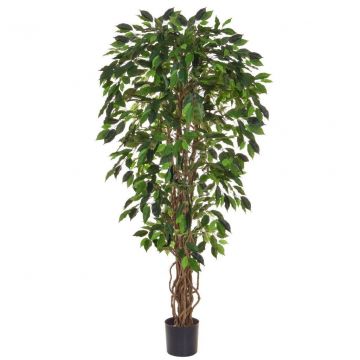 5 ft (150 cm) Green Ficus "Liana" (NTT) Artificial Tree