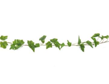 180cm English Ivy Garland - Green