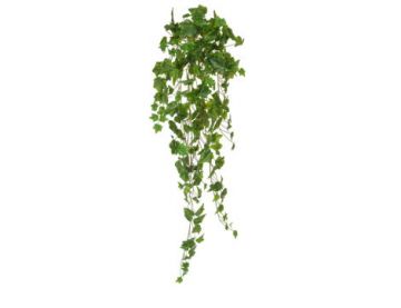 100cm English Ivy Bush - Green