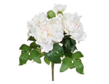 49.5cm (1.6ft) Flowering Peony - White/Pink