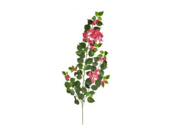 83cm (3ft) Foliage Bougainvillea - Pink / White 