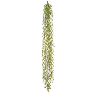 165cm Feather Fern Trailing (Fire Resistant)