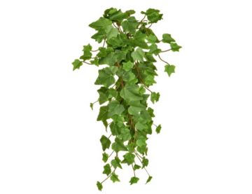 55cm (1.8ft) Trailing Ivy - Green