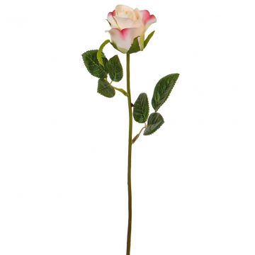 Rose White/Pink (52cm)