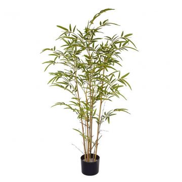 Bamboo Mini (120cm)