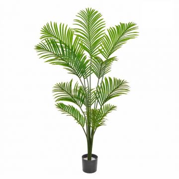 Palm Paradise Contract - 150cm