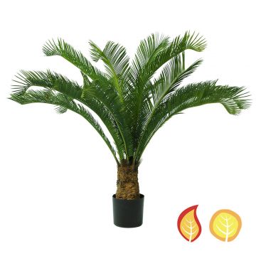 95cm Palm Cycas (Fire Resistant / UV Protected)