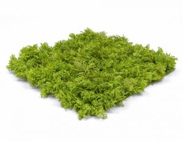 Topiary Reindeer Mat - Green