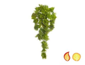 35cm (1.1ft) Reindeer Moss Train - Green (Fire & UV Protected)