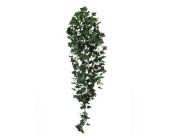 Green English Ivy (85cm)