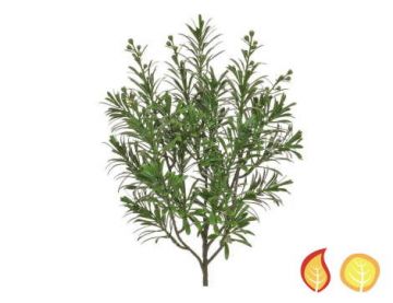 45cm (1.5ft) Artemesia Foliage - Green (Fire & UV Protected)