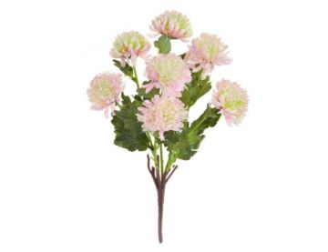 43cm (1.5ft) Flowering Chrysanth - Pink