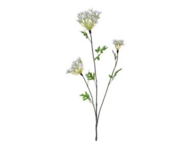 Queen Anne Lace (92cm)
