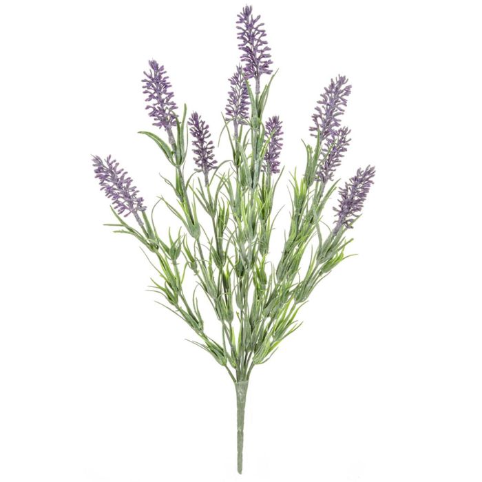 42cm Plants Flowering Lavender Bush main product photo