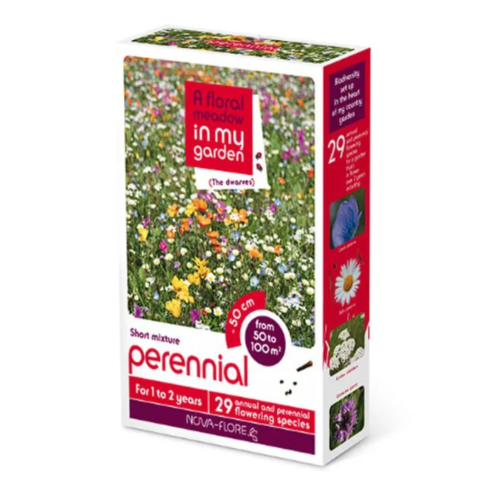 Dwarves Perennial