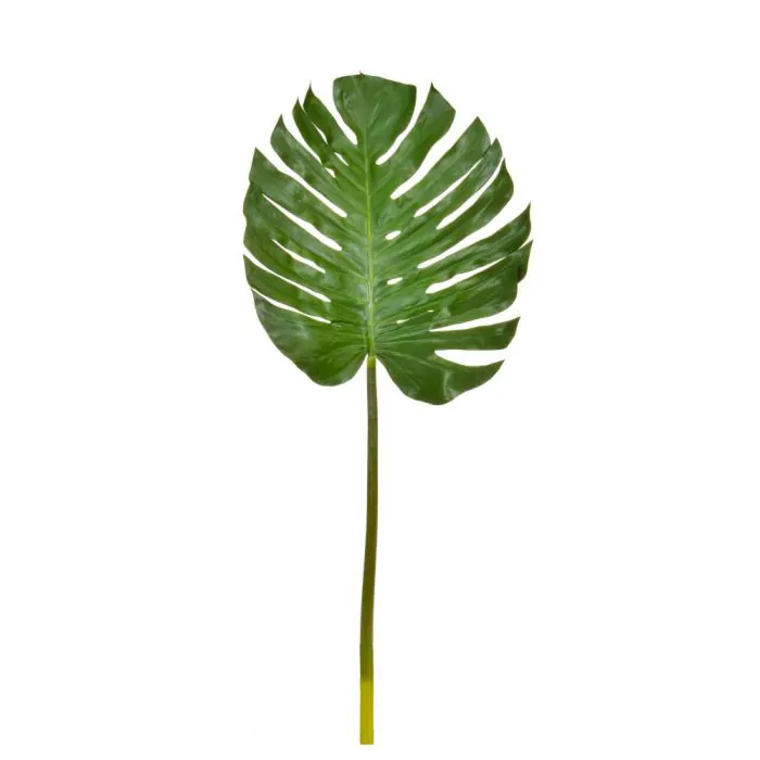 137cm Leaf Monstera