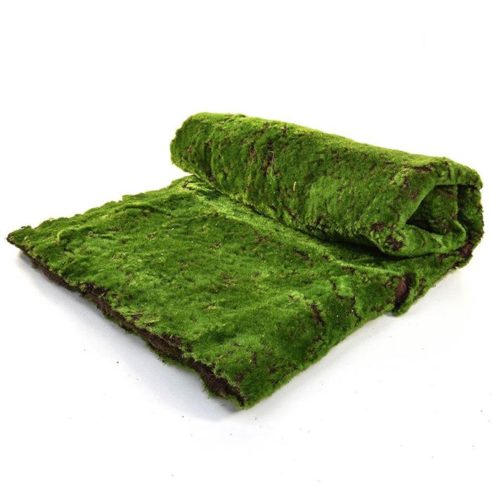 100cm x 200cm Topiary Moss Mat main product photo