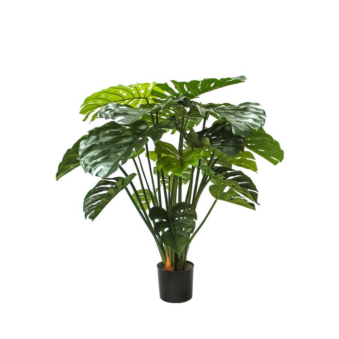 4ft (120cm) Monstera in Pot main product photo