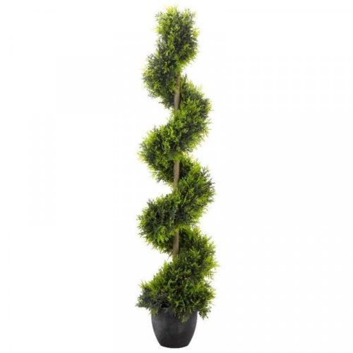 120cm - Cypress Topiary Twirl