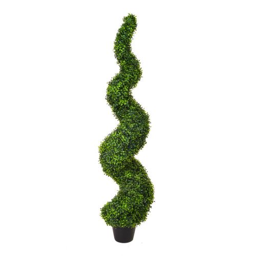 5ft (150cm) Topiary Buxus Boxwood Spiral (UV Resistant)