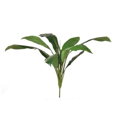 74cm Cordyline Green Foliage (Fire Resistant)
