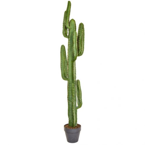 157cm Cactus With Brown Pot